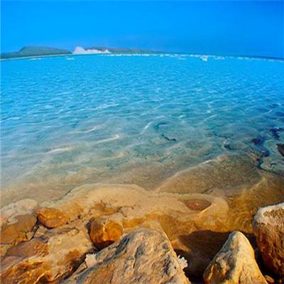 史努比打拳击中文版